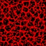 Noise Lab: Genetic Vein