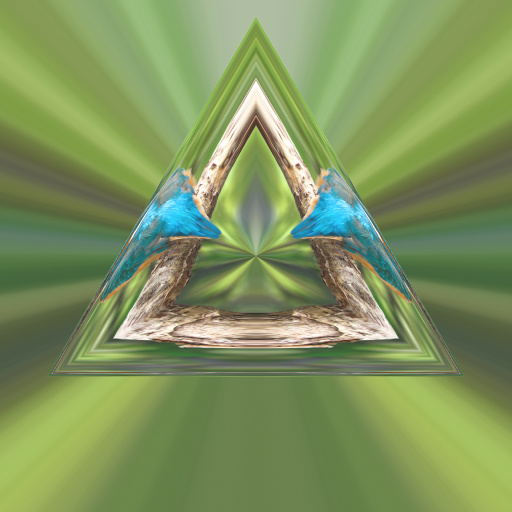 Variation 1