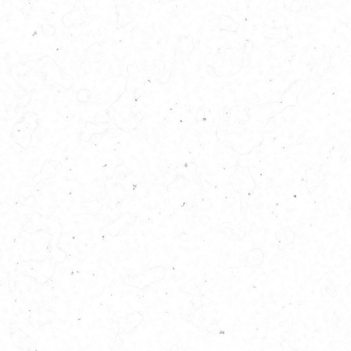 Ambient Occlusion Map