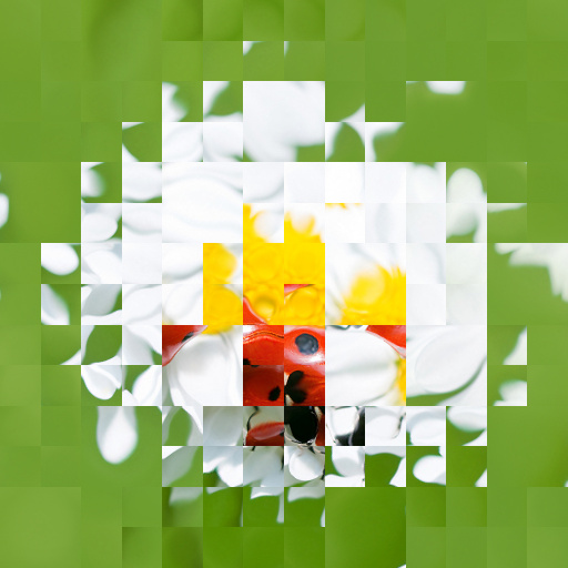 Variation 5