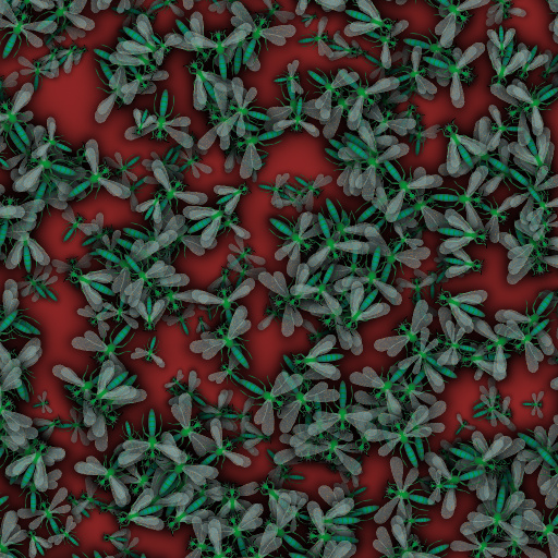 Variation 5