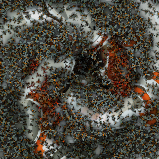 Variation 7