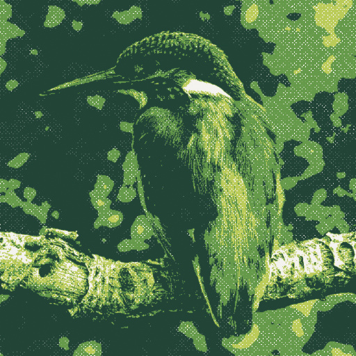 Variation 7