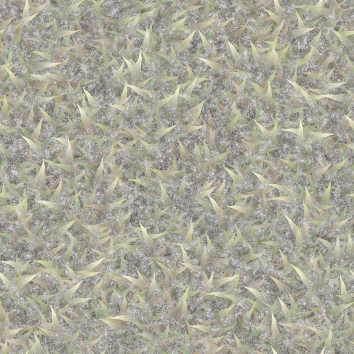 Variation 3