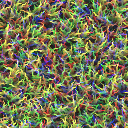 Variation 4