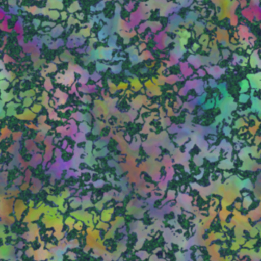 Variation 6