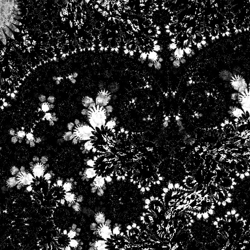 Reflective Occlusion Map