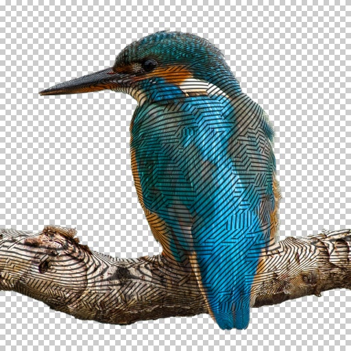 Variation 5