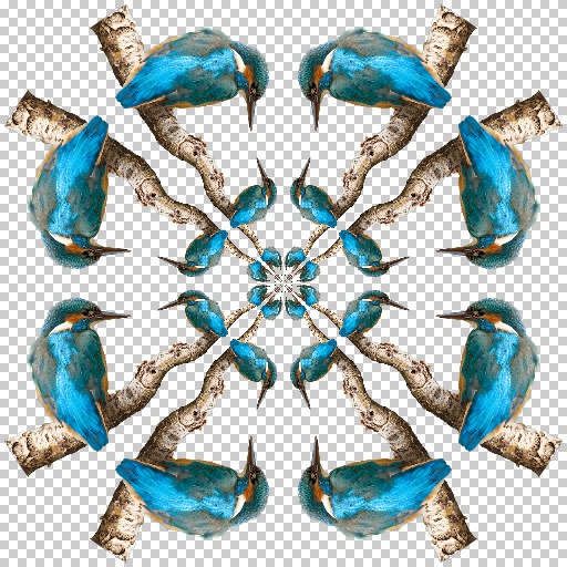 Variation 1