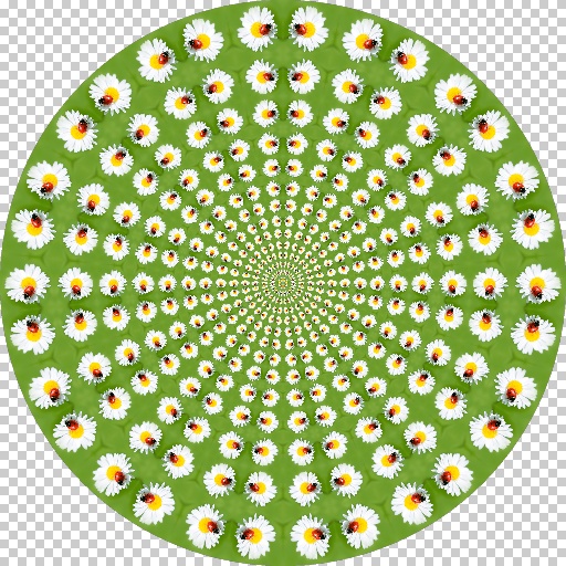 Variation 2