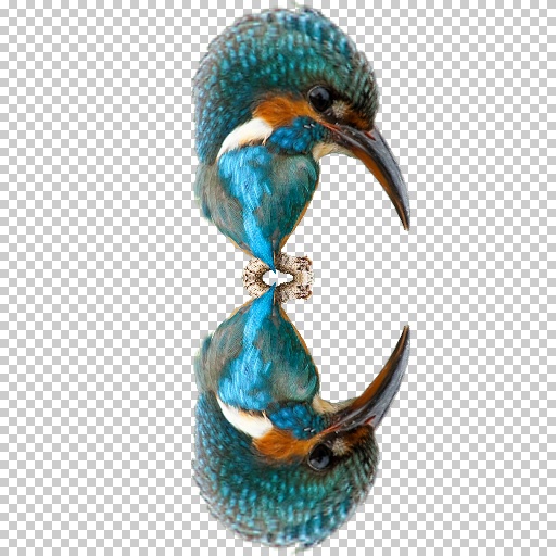 Variation 3