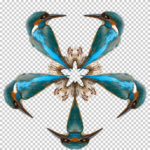 Variation 5