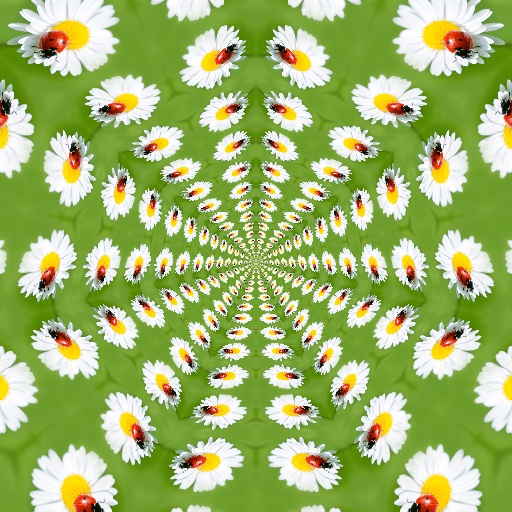 Variation 2