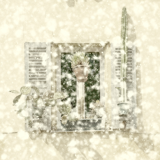 Variation 4