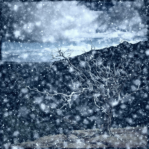 Variation 5