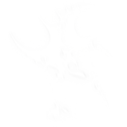 Ambient Occlusion Map