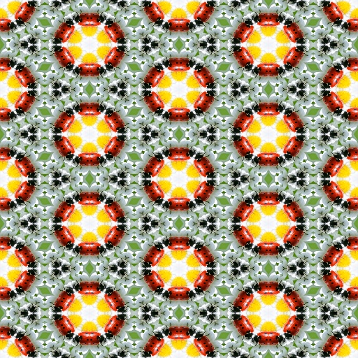 Variation 4
