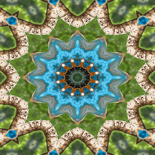 Variation 5