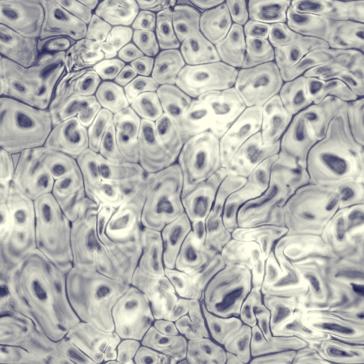 Variation 7