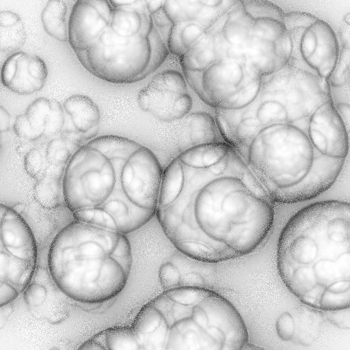 Ambient Occlusion Map