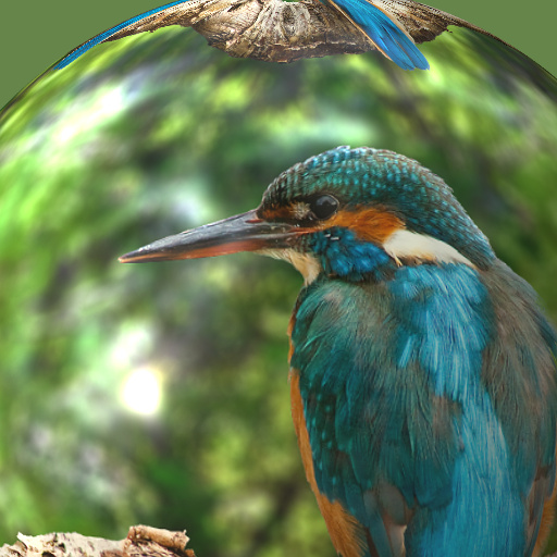 Variation 5