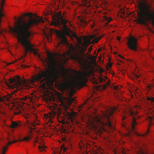 Variation 1