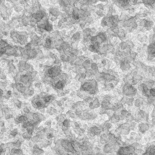Ambient Occlusion Map