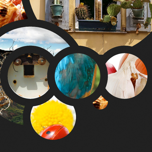 Polygonal Images Set (Effect)