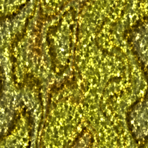 Variation 5