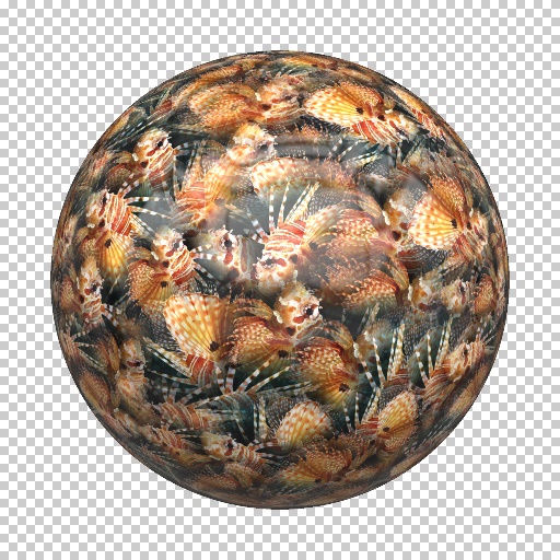 Variation 8