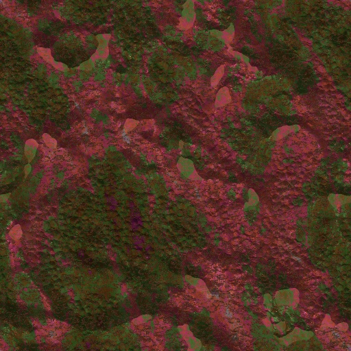 Variation 3