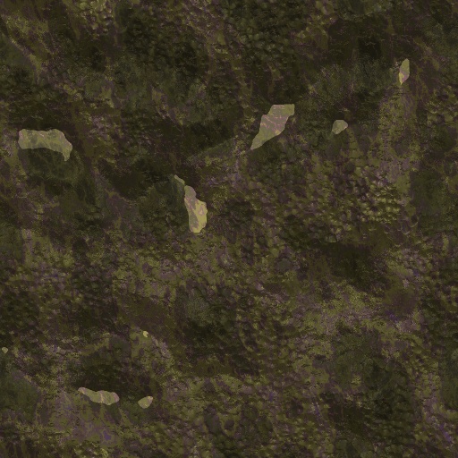 Variation 4
