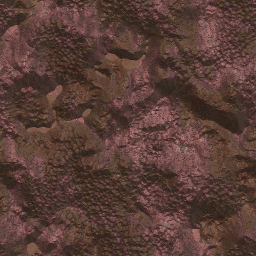 Variation 5