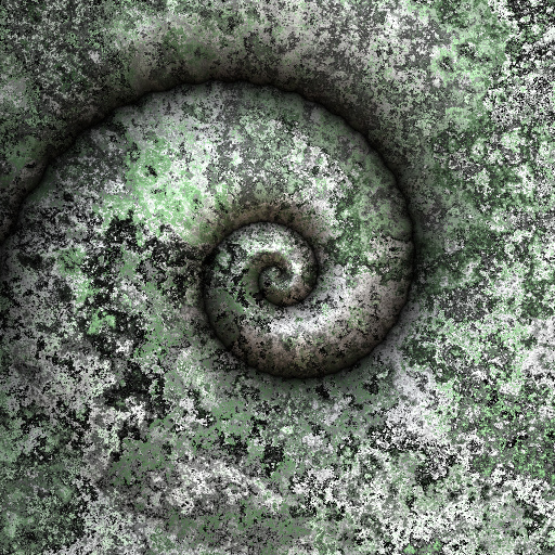 Variation 8