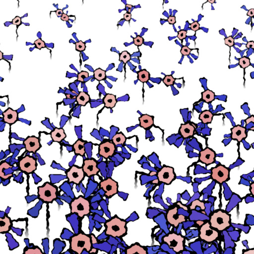 Variation 3