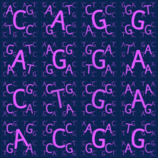 Variation 2