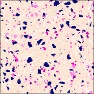 Terrazzo Tiles