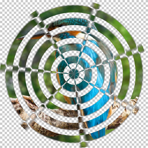 Variation 6