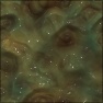 Organics (Basic 2)