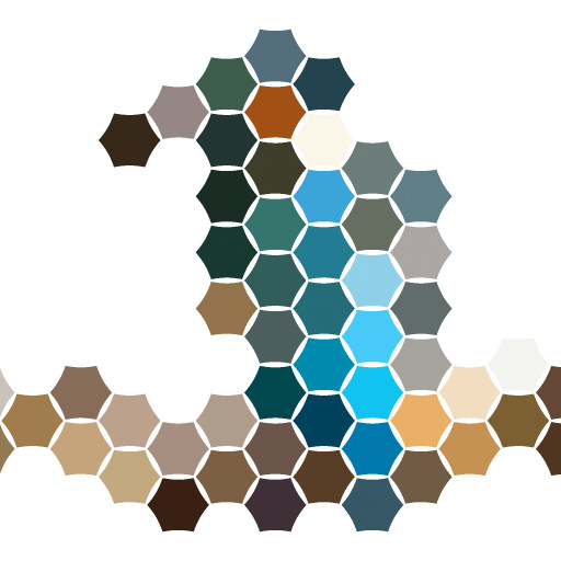 Variation 1