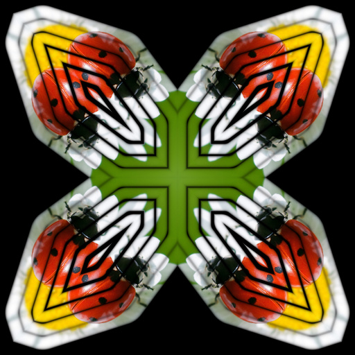 Variation 3