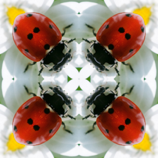 GF Play with Forms v10 (Effect)
