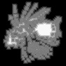 SDF Texture Generator
