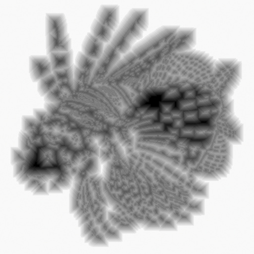 Variation 7