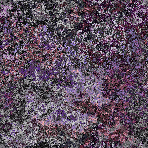Variation 5