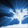 The Light of God