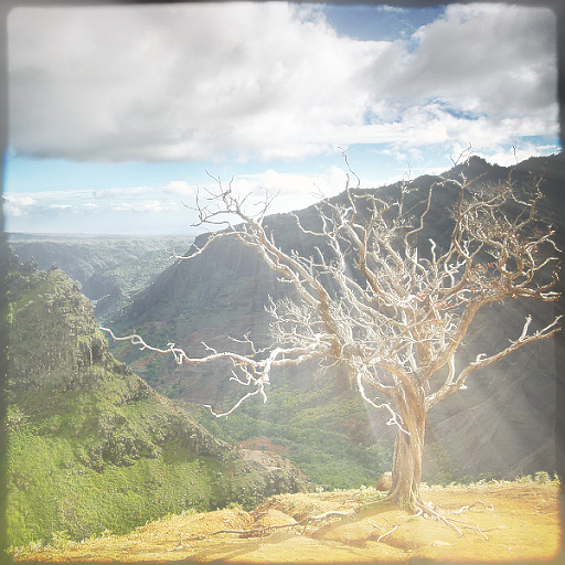 Variation 1