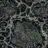Tortured Textures