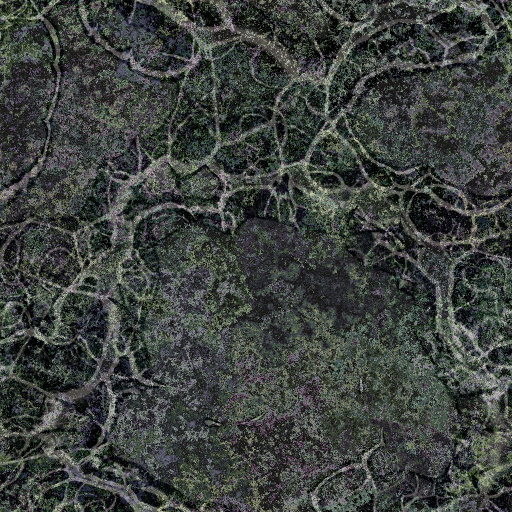Tortured Textures