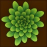 Phibonacci 1 - plants 0.1